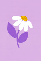 Purple Daisy Floral Wall Art - PIG12