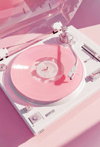 Pink Aesthetic Retro Wall Art - PIG20 (Copy)