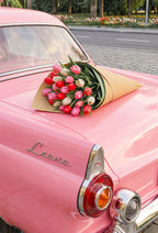 Pink Aesthetic Retro Wall Art - PIG20 (Copy)
